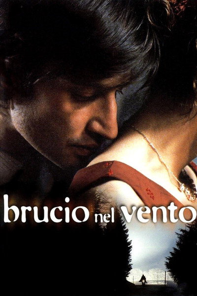 Póster de Burning in the Wind