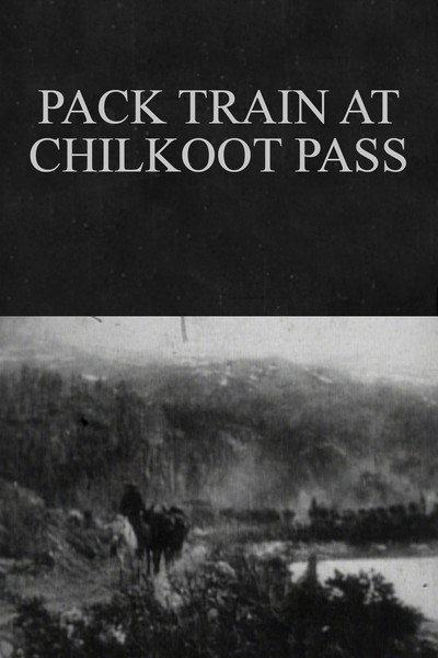 Póster de Burro Pack Train on the Chilcoot Pass