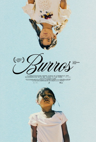 Póster de Burros