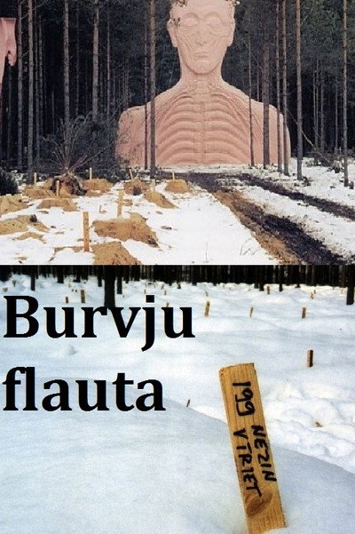Póster de Burvju flauta