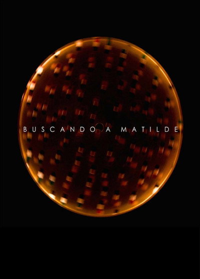 Póster de Buscando a Matilde