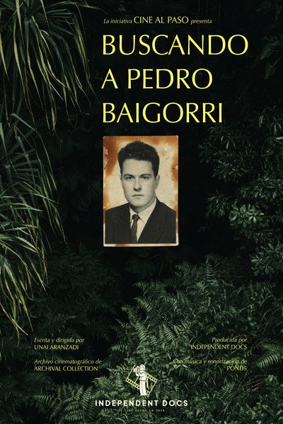 Póster de Buscando a Pedro Baigorri