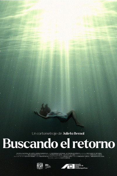 Póster de Buscando el retorno