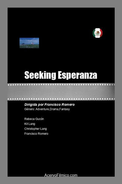 Póster de Buscando Esperanza