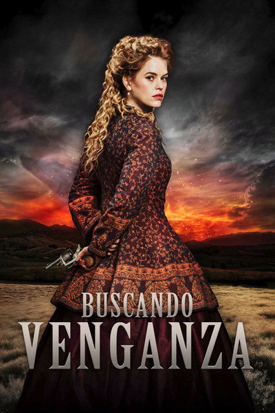 Póster de Buscando venganza