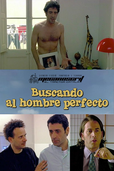 Póster de Buscant l'home perfecte