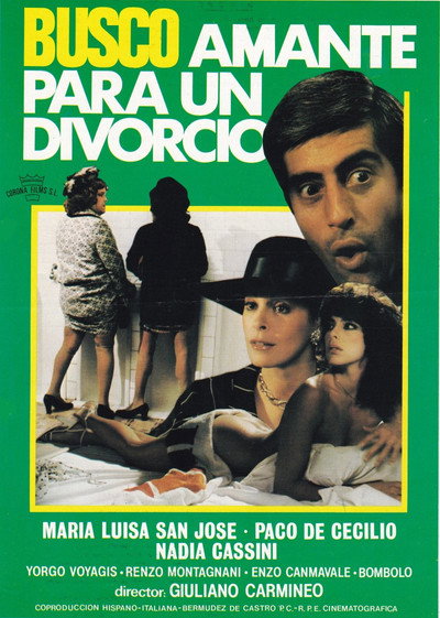 Póster de Busco amante para un divorcio