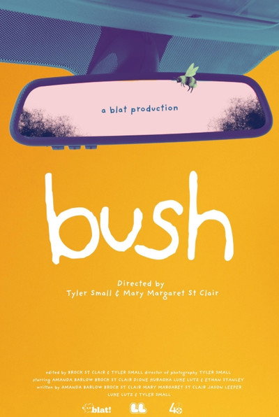 Póster de Bush