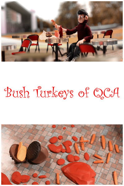 Póster de Bush Turkeys of QCA