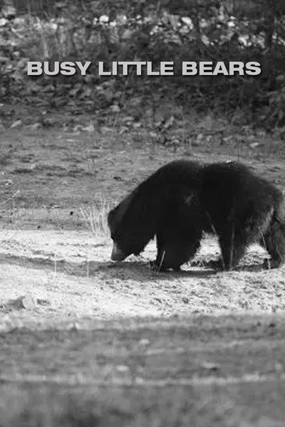 Póster de Busy Little Bears