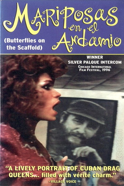 Póster de Butterflies on a Scaffold