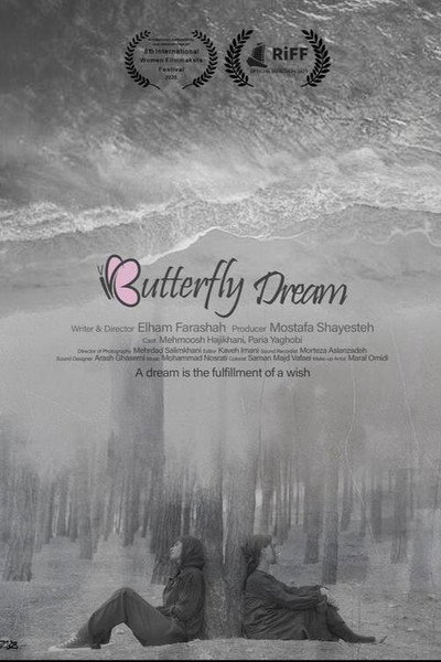 Póster de Butterfly Dream
