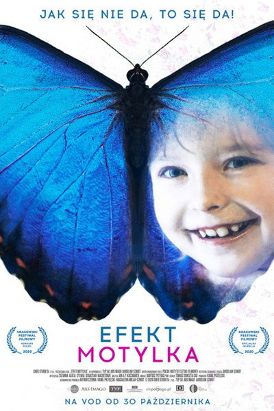 Póster de Butterfly's Dream