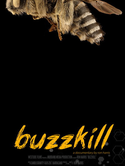 Póster de Buzzkill