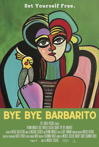 Póster de Bye Bye Barbarito