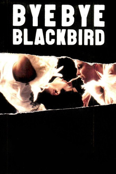 Póster de Bye Bye Blackbird