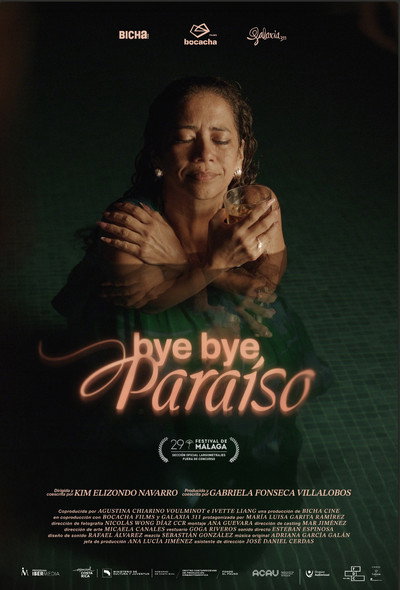 Póster de Bye Bye, Paraíso