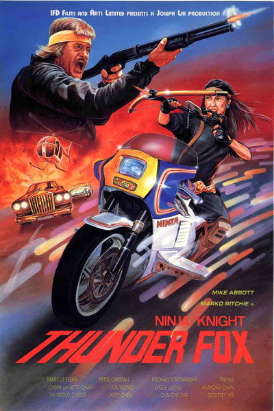 Póster de Caballero ninja