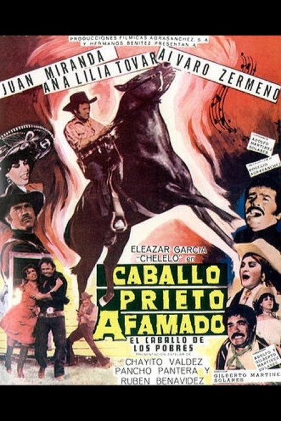 Póster de Caballo prieto afamado