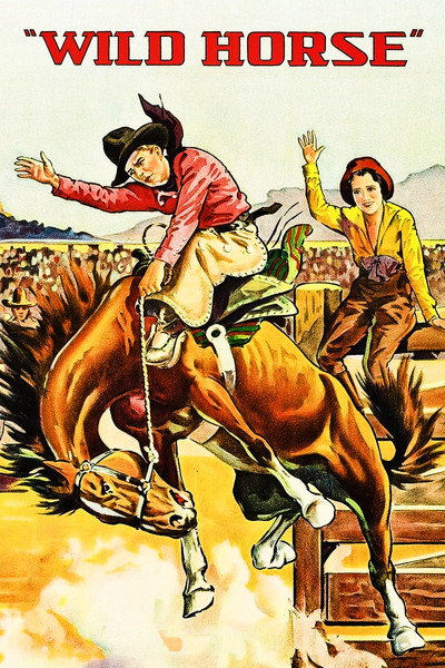 Póster de Caballo salvaje