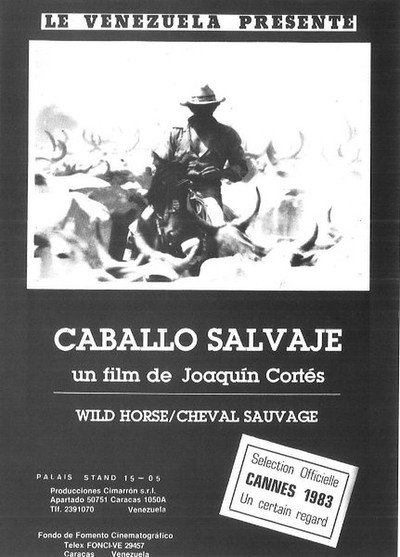 Póster de Caballo salvaje