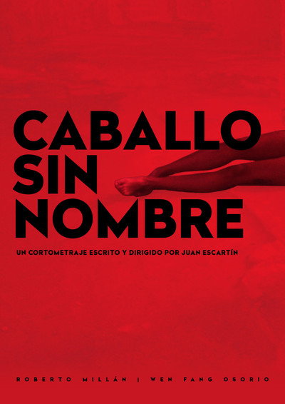 Póster de Caballo Sin Nombre