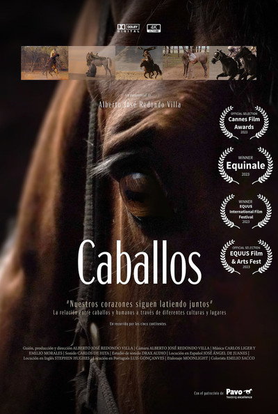 Póster de Caballos