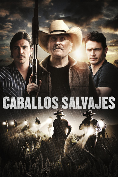 Póster de Caballos salvajes