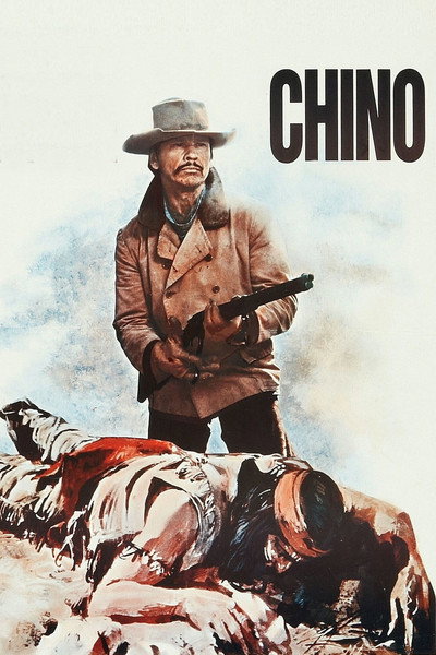 Póster de Caballos salvajes