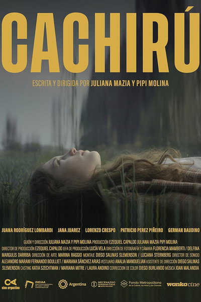 Póster de Cachirú