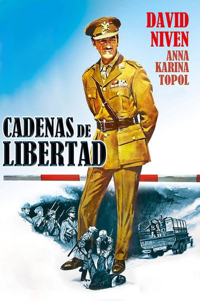 Póster de Cadenas de libertad