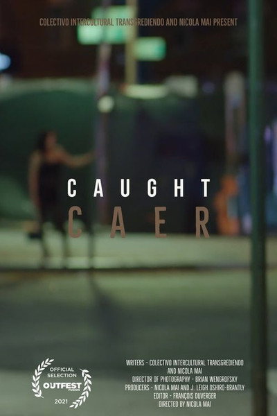 Póster de Caer (Caught)