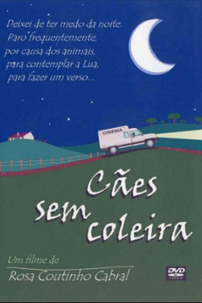 Póster de Cães Sem Coleira