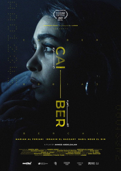 Póster de CAI - BER