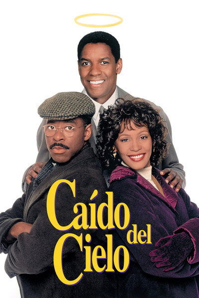 Caído del cielo