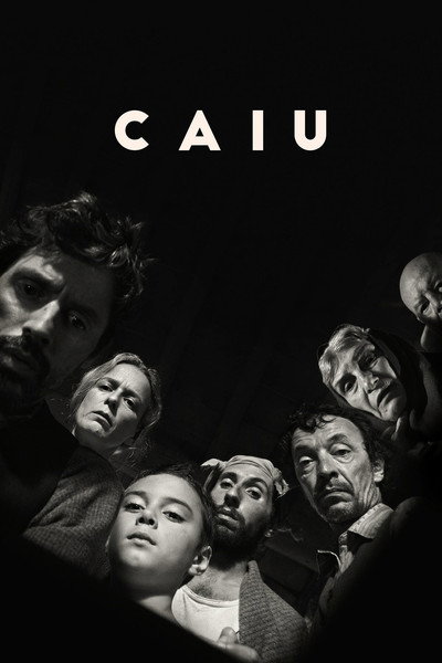 Póster de Caiu
