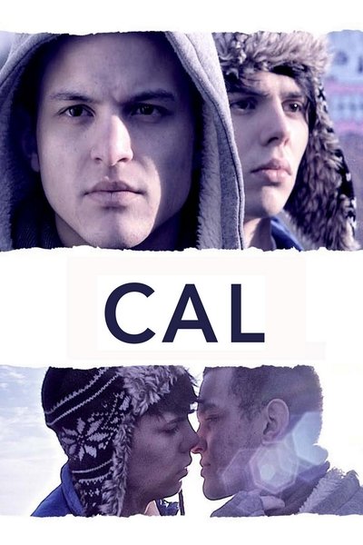 Póster de Cal