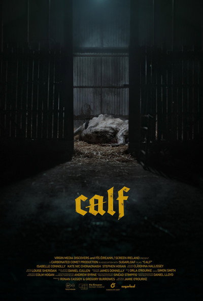 Póster de Calf
