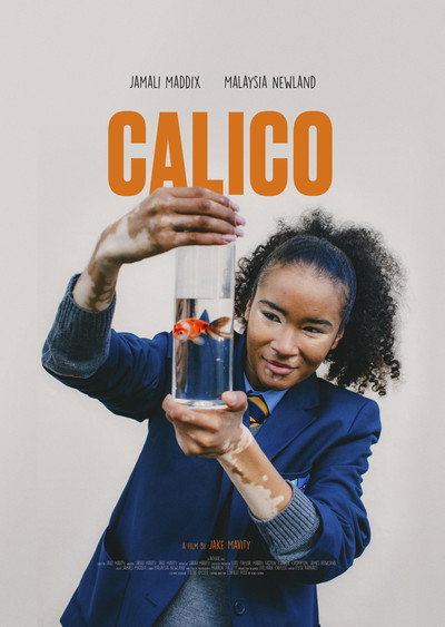 Póster de Calico
