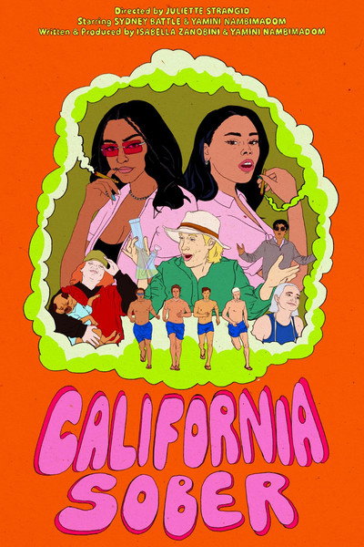 Póster de California Sober