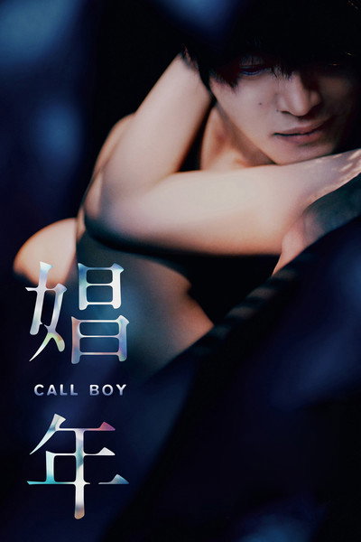 Póster de Call Boy