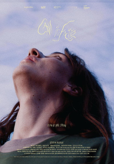 Póster de Call it Fate