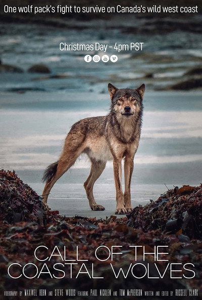 Póster de Call of the Coastal Wolves