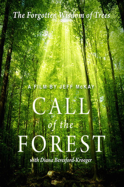 Póster de Call of the Forest: The Forgotten Wisdom of Trees