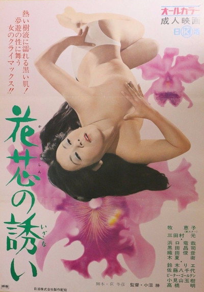 Póster de Call of the Pistil