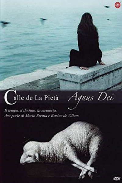 Póster de Calle de la pietà