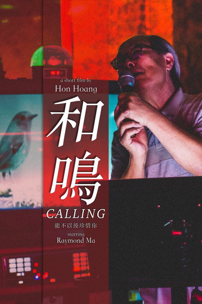 Póster de Calling