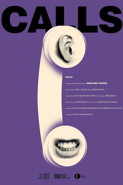Póster de Calls