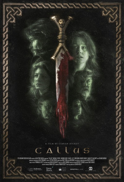 Póster de Callus