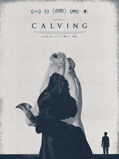 Póster de Calving